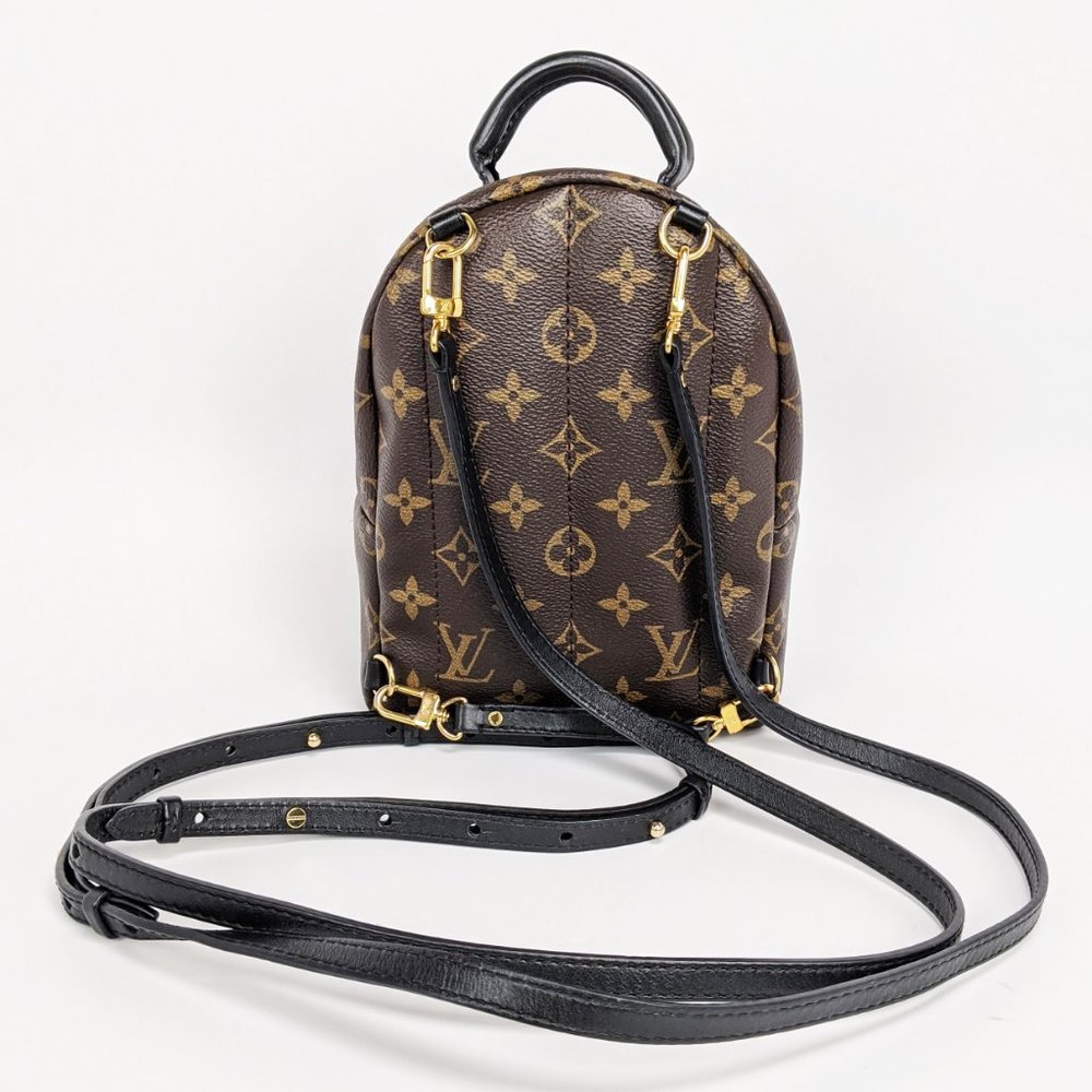 SOLD Louis Vuitton Palm Springs Mini Backpack - Picture 2 of 9